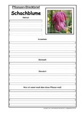 Pflanzensteckbrief-Schachblume.pdf